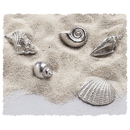 Sea Shells Pocket Charms