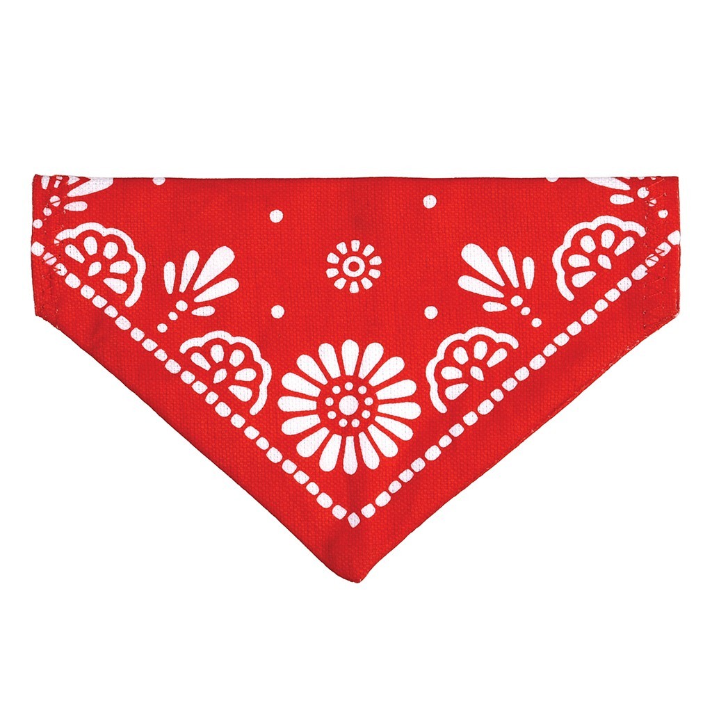 Small Red Paisley Dog Bandana