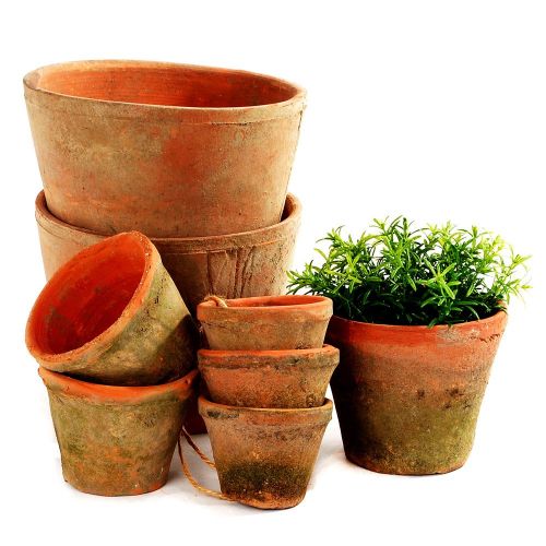 Antiqued Redstone Cactus Pot