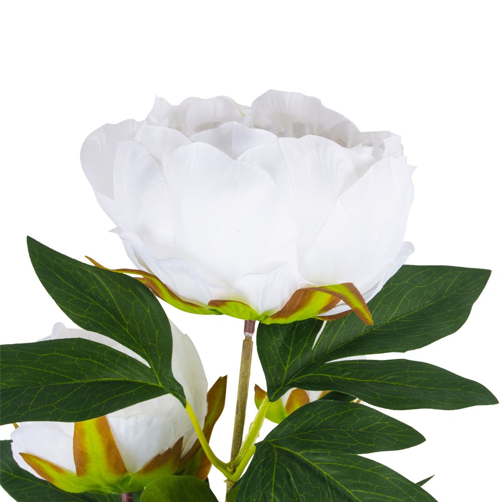 Peony Spray White