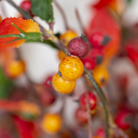 Autumn Berries