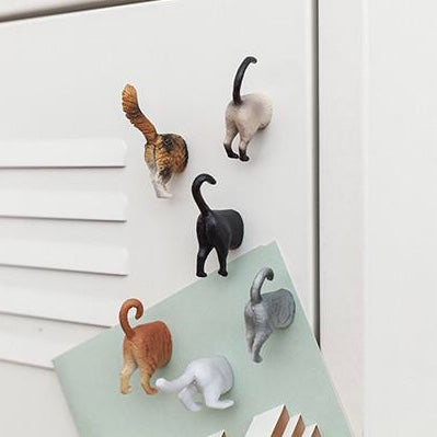 Cat Butt Magnets