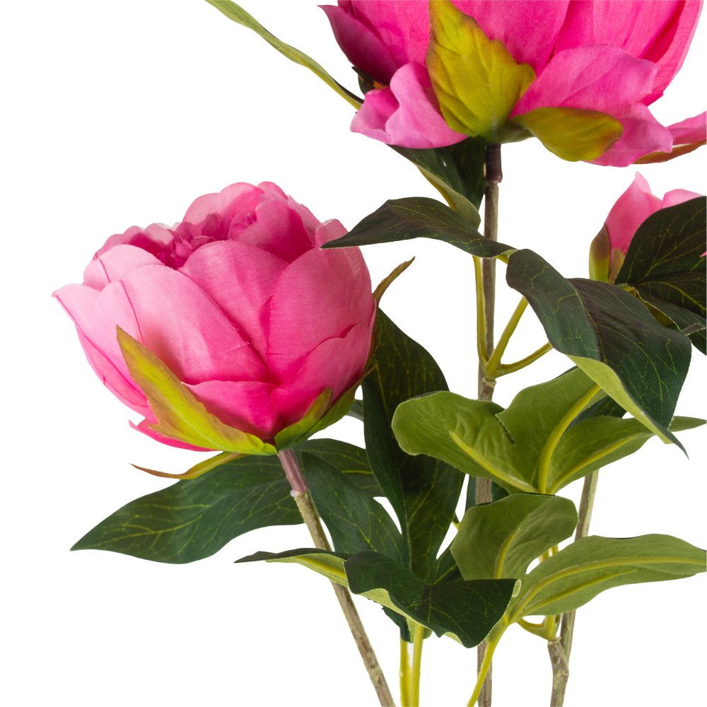 Peony Spray Pink