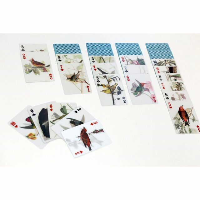 3D Bird Playing Cards