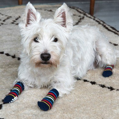 Medium Stripy Dog Socks