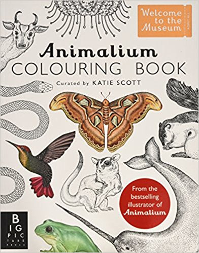 Animalium Colouring Book
