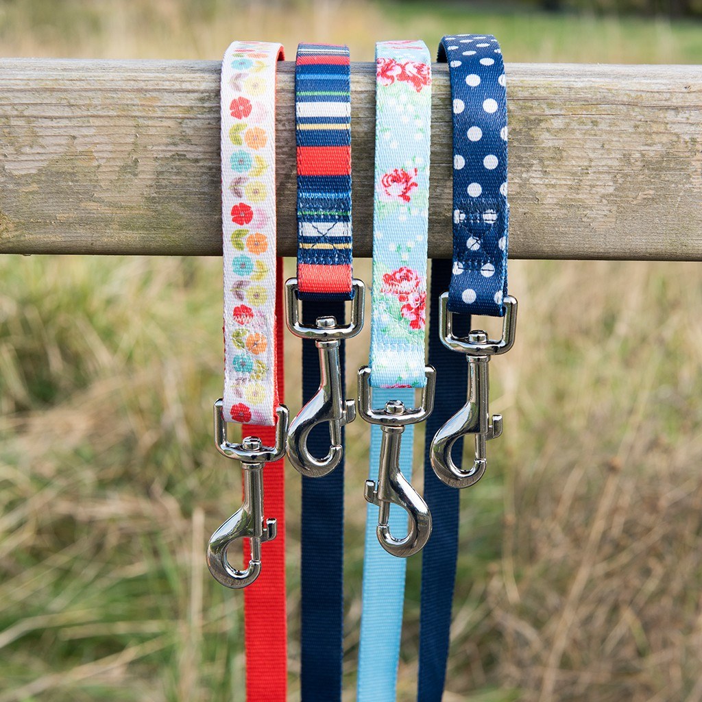 Blue Polka Dot Dog Lead