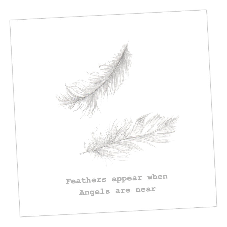 Boxed Feathers Silver Earring Card