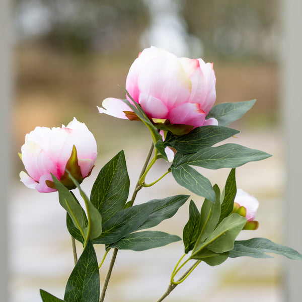 Peony Spray Light Pink