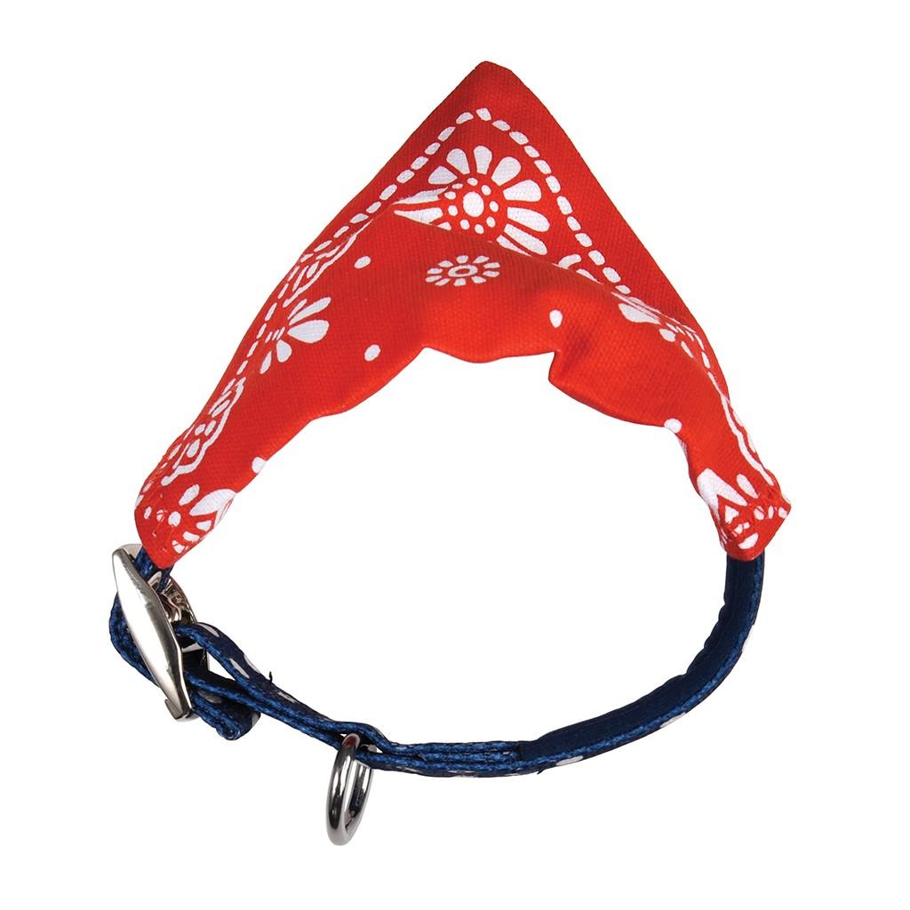 Small Red Paisley Dog Bandana