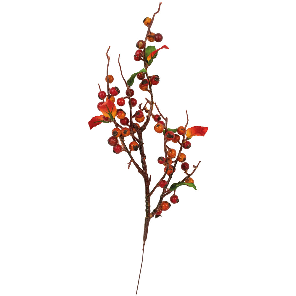 Autumn Berries