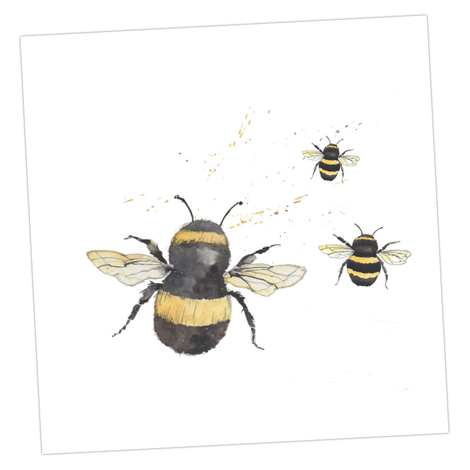 Boxed Bumble Bee Silver Earring Card