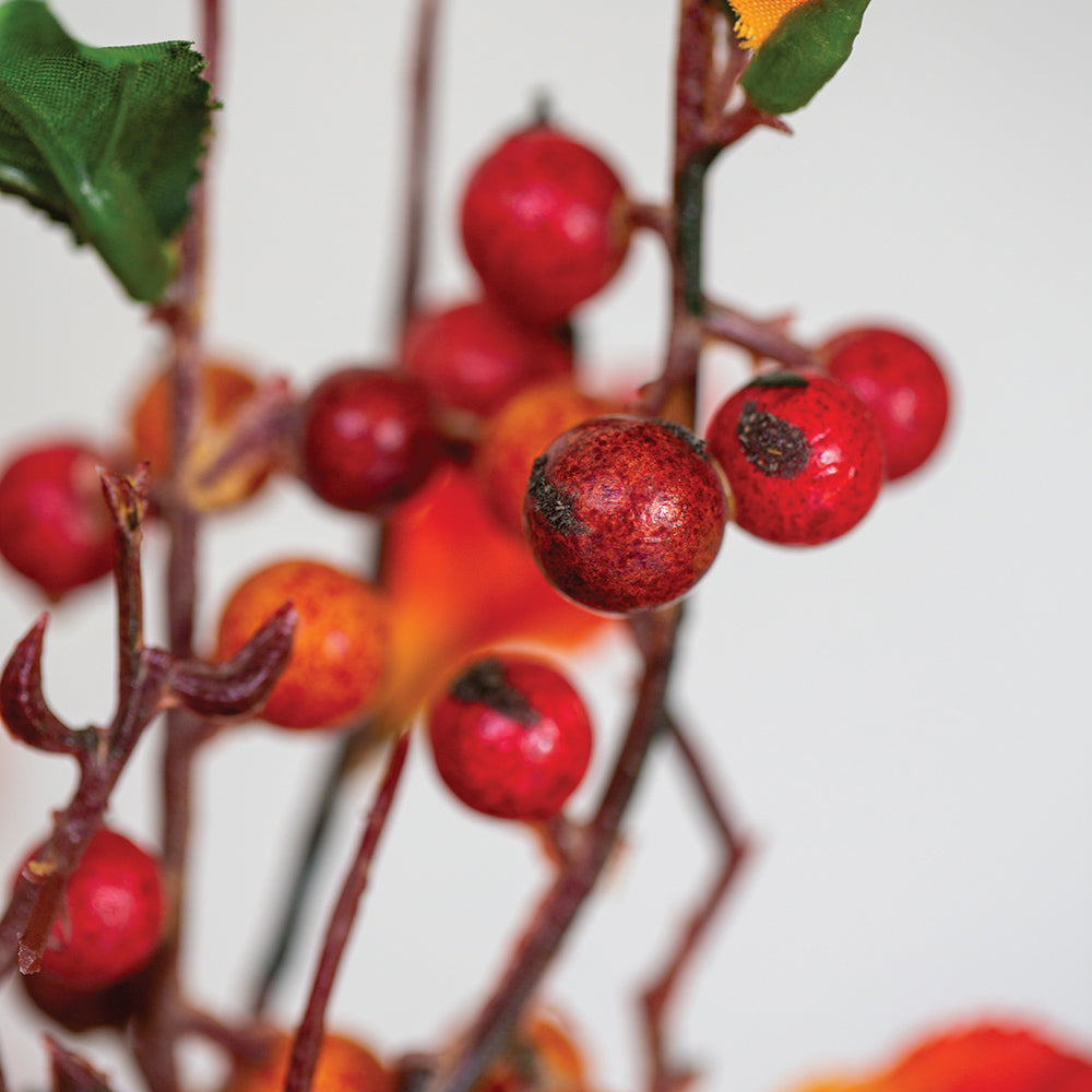 Autumn Berries