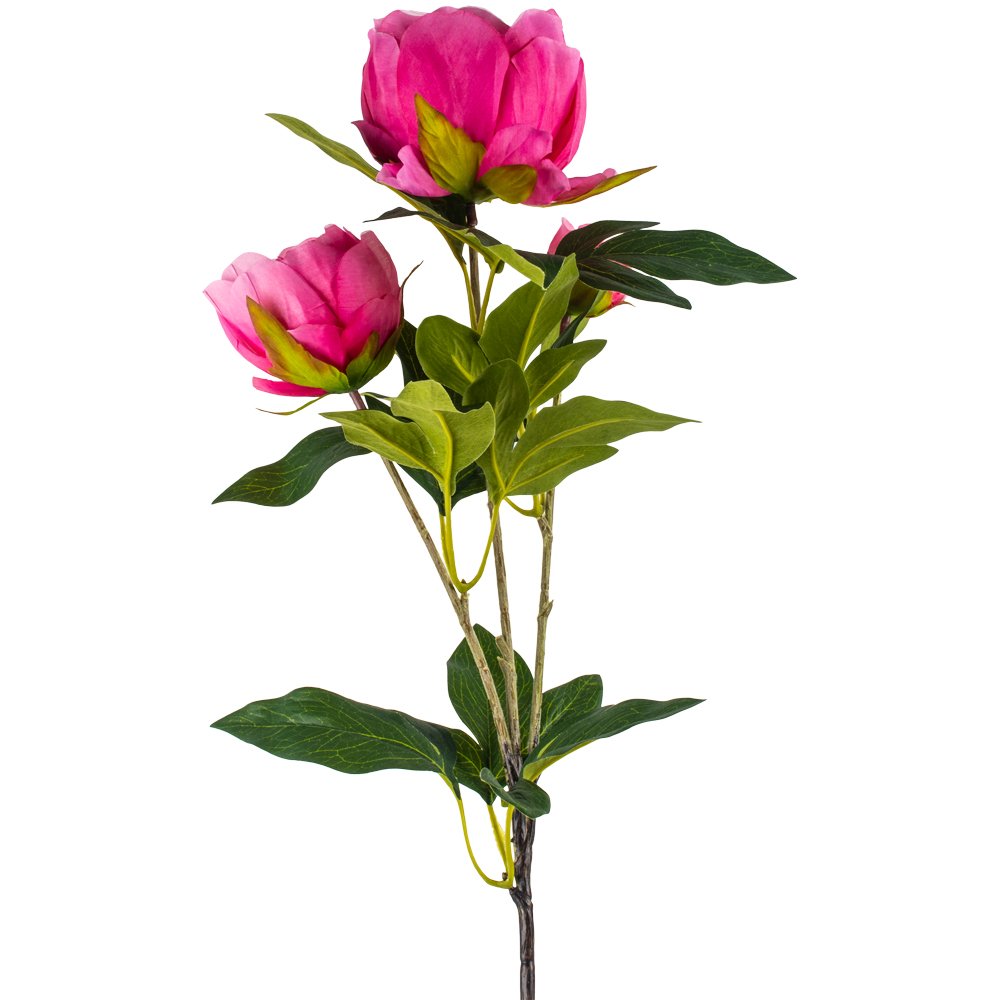 Peony Spray Pink