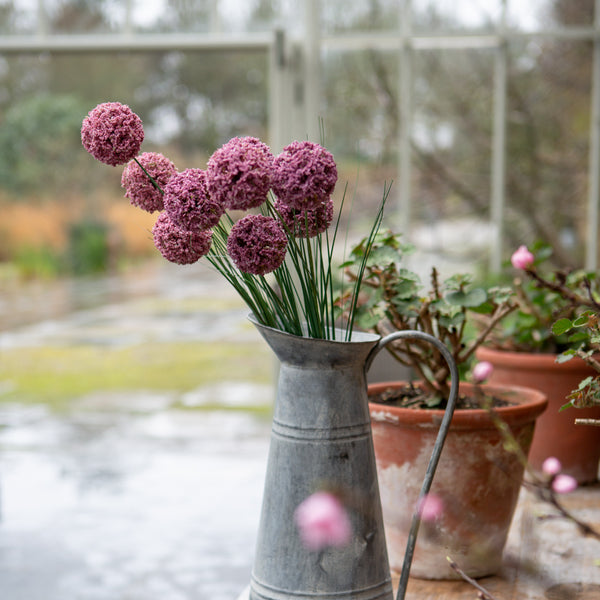 Allium Spray Dark Pink