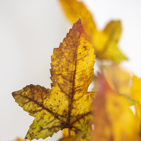 Faux Autumn Maple Stem