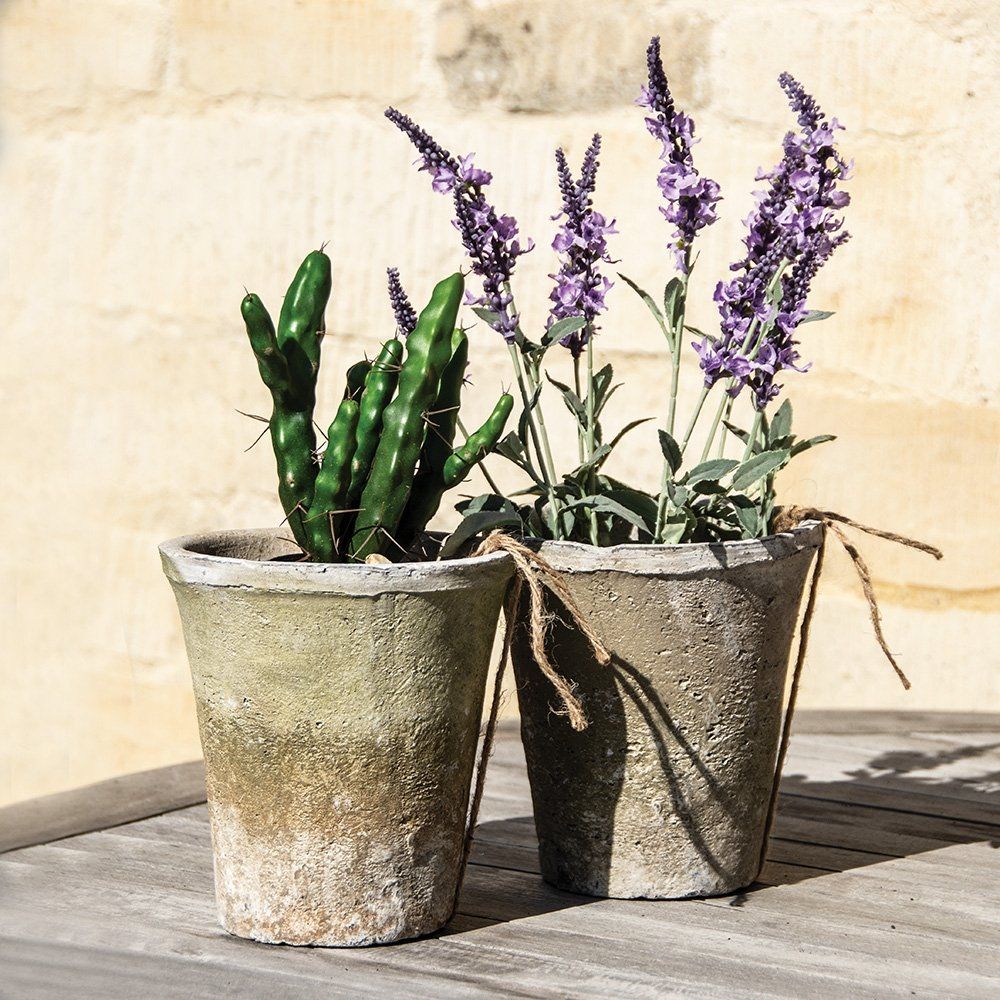 Antiqued Whitestone Cactus Pot 13 x 10cm