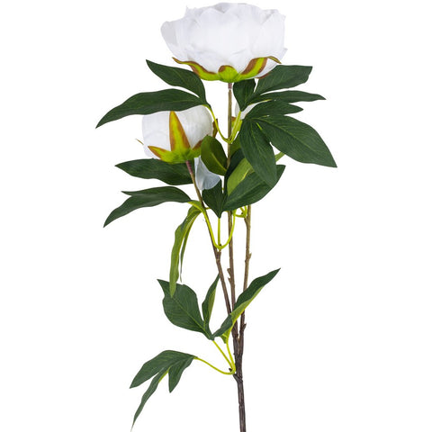 Peony Spray White