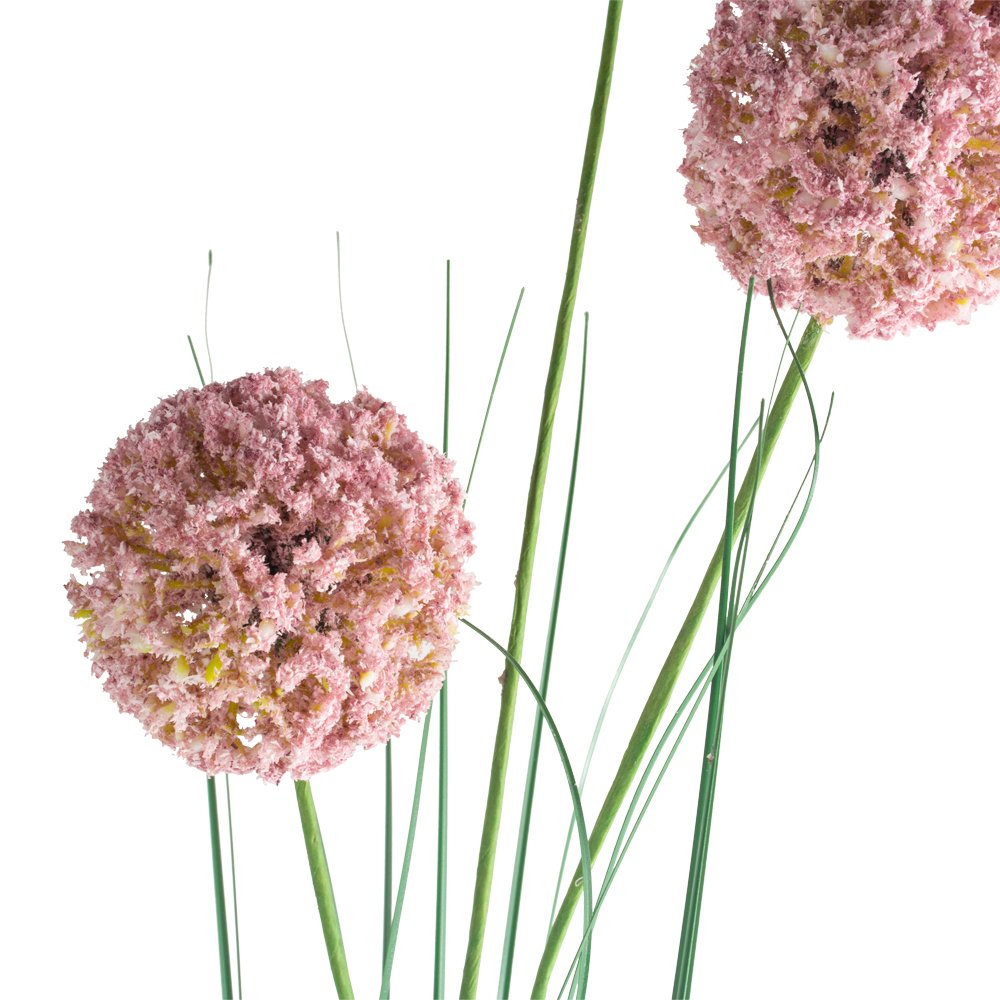 Allium Spray Light Pink