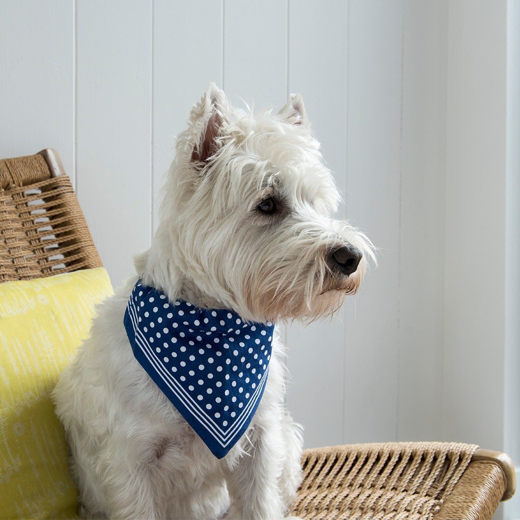 Large Blue Polka Dot Dog Bandana