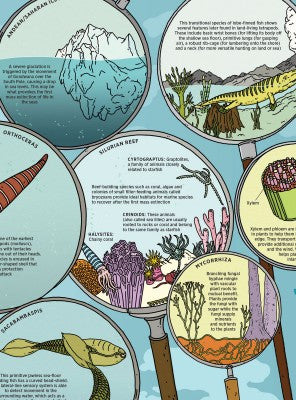 What on Earth? Natural History Wallbook