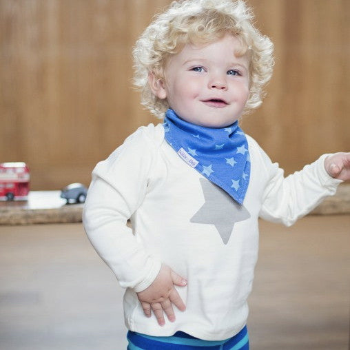 Blue Reversible Bandana Bib