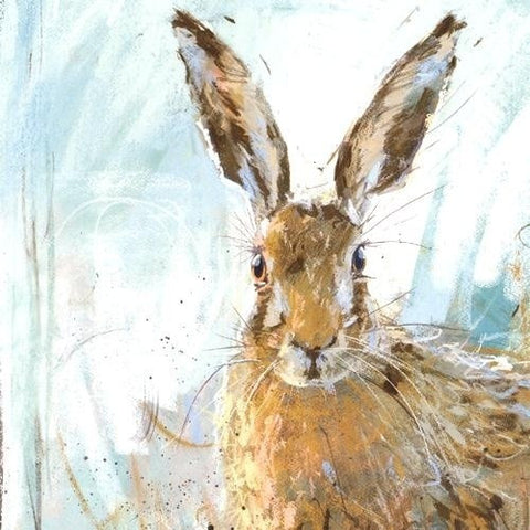 Brown Hare 3
