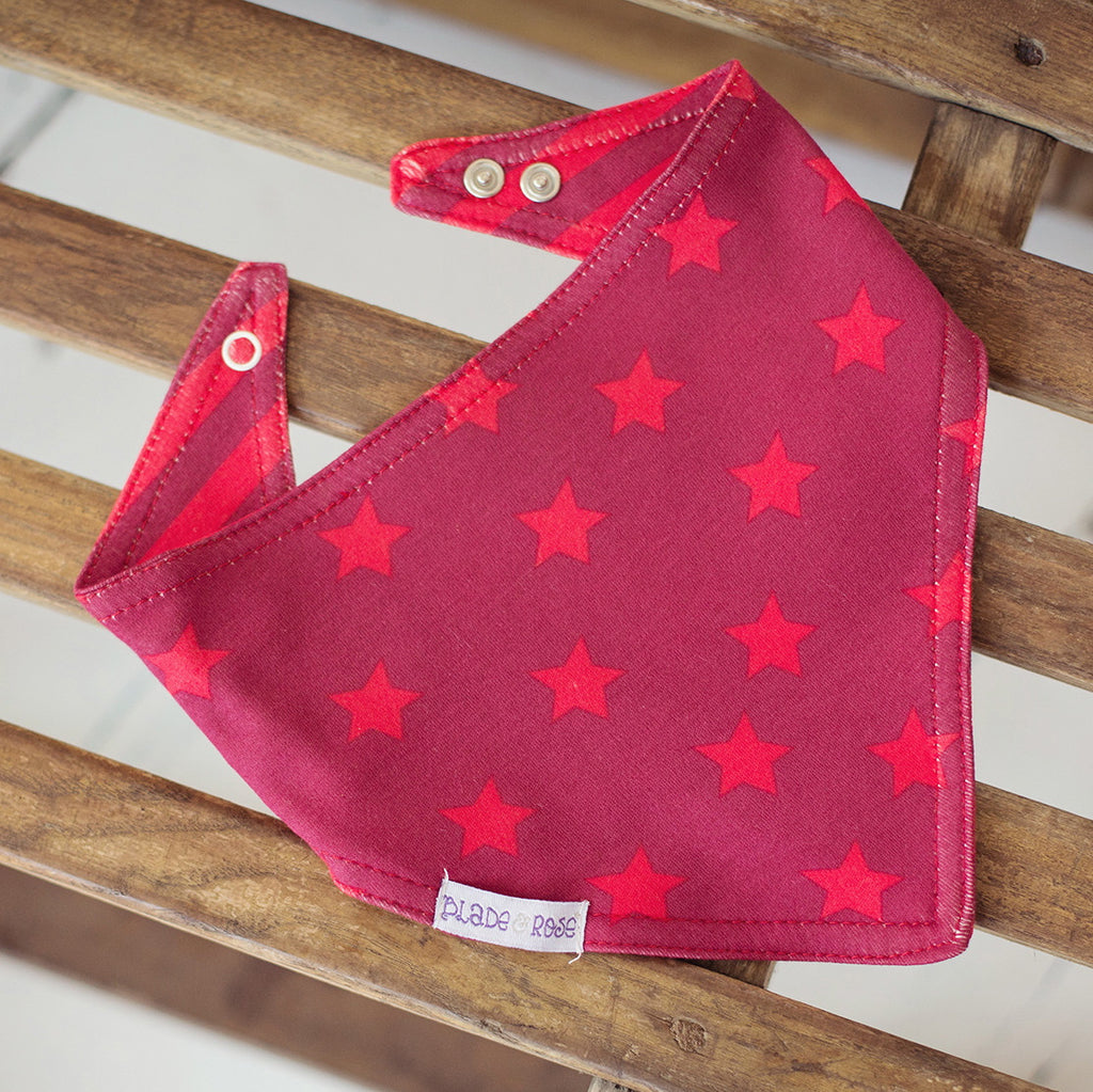 Red Reversible Bandana Bib