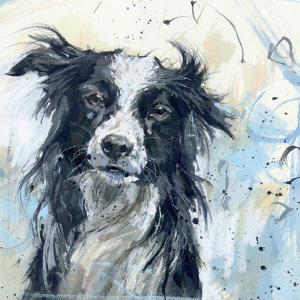 Collie