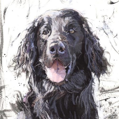 Flat-Coated Retriever