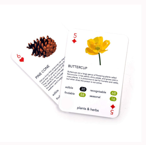 Foragers Playing Cards