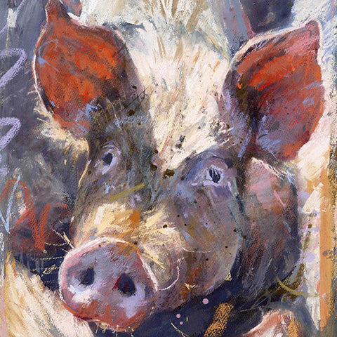 Gilling Pig 4 Card