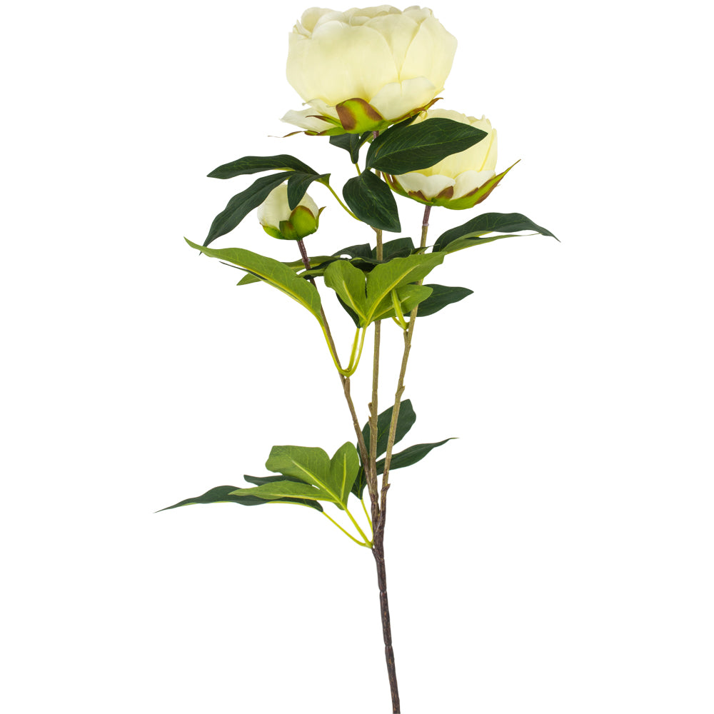 Peony Spray Yellow