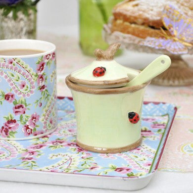 Ladybird Pot