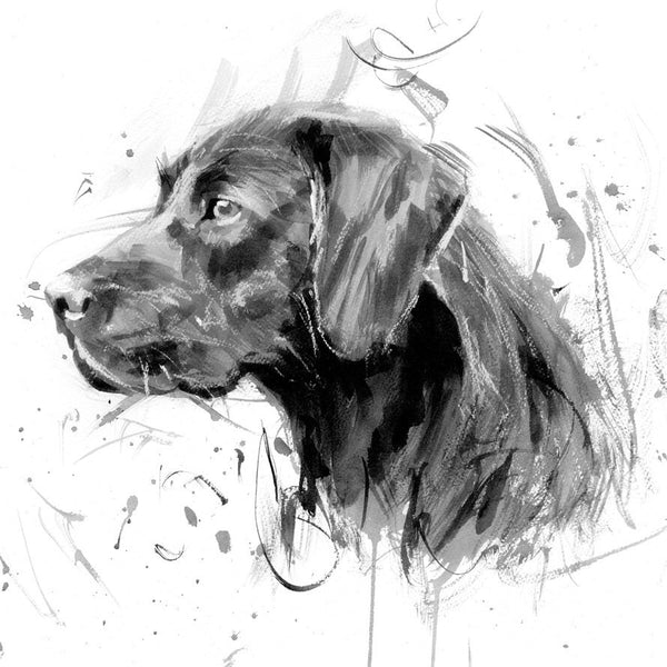 Black Labrador Greeting Card