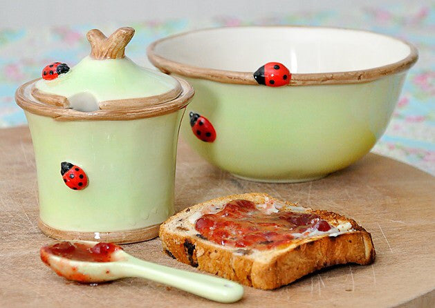 Ladybird Pot