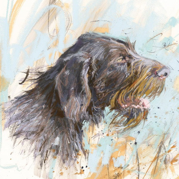 Wirehaired German Pointer Card