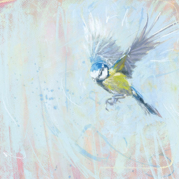 Blue Tit Greeting Card