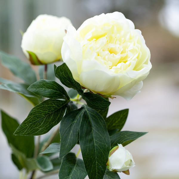 Peony Spray Yellow