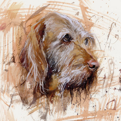 Wirehaired Vizsla Card