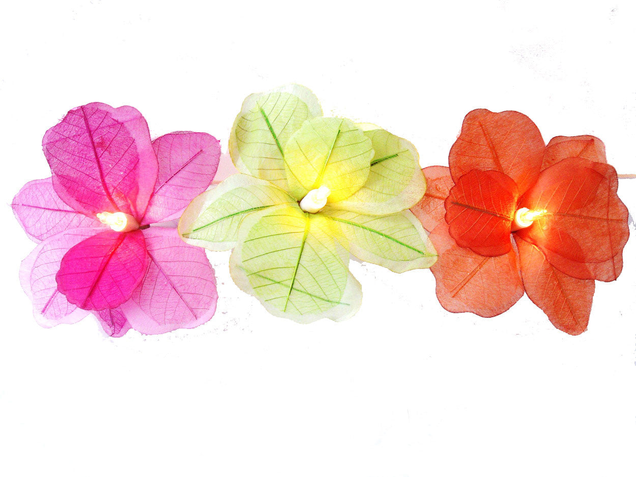 Poppy string lights deals