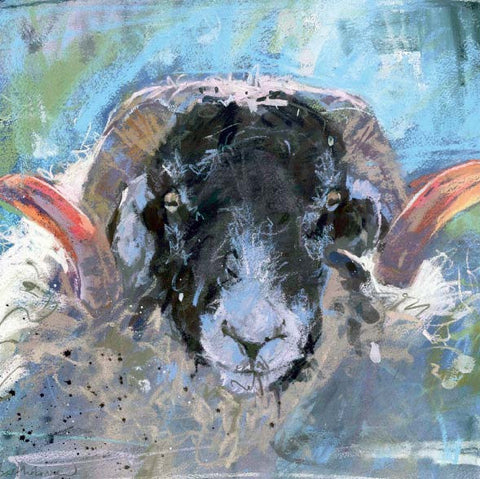 Swaledale Ram