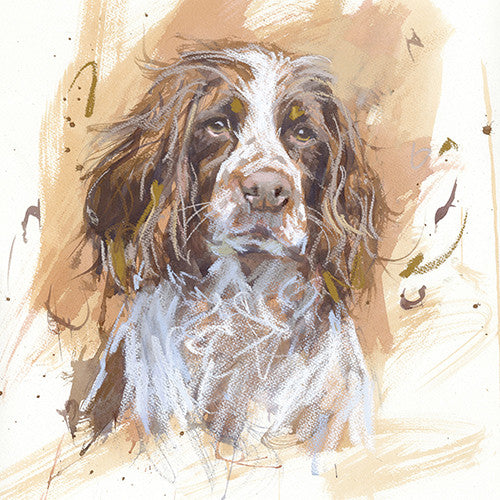 Springer Spaniel 2 Card