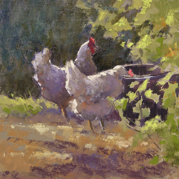 Sunlit Hens