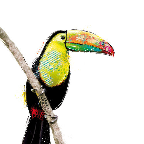 Toucan Card