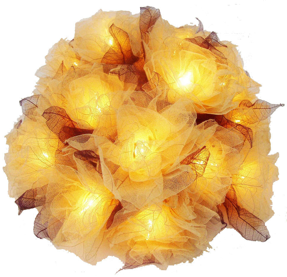 String Lighting White Carnations